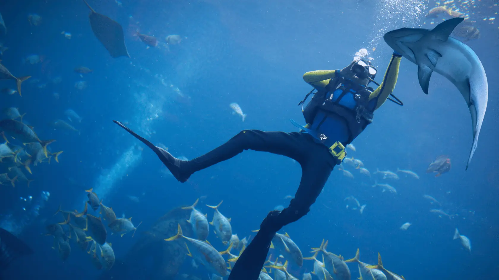 Diving Dubai
